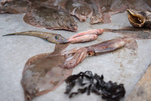 Comment gérer les imprévus en camping?