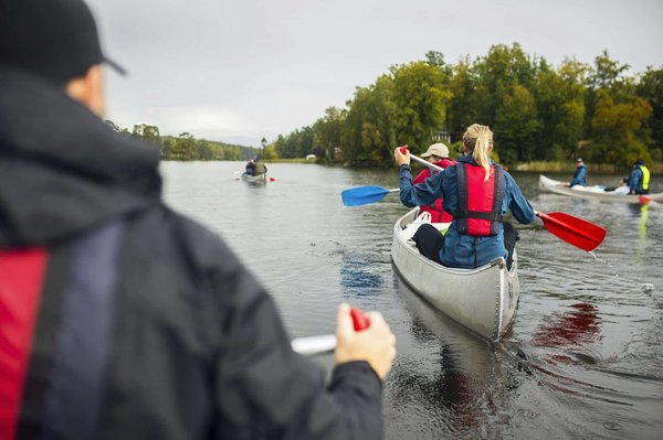 Canoë sur la Vézère : découverte des paysages majestueux du Périgord en parcours aventure